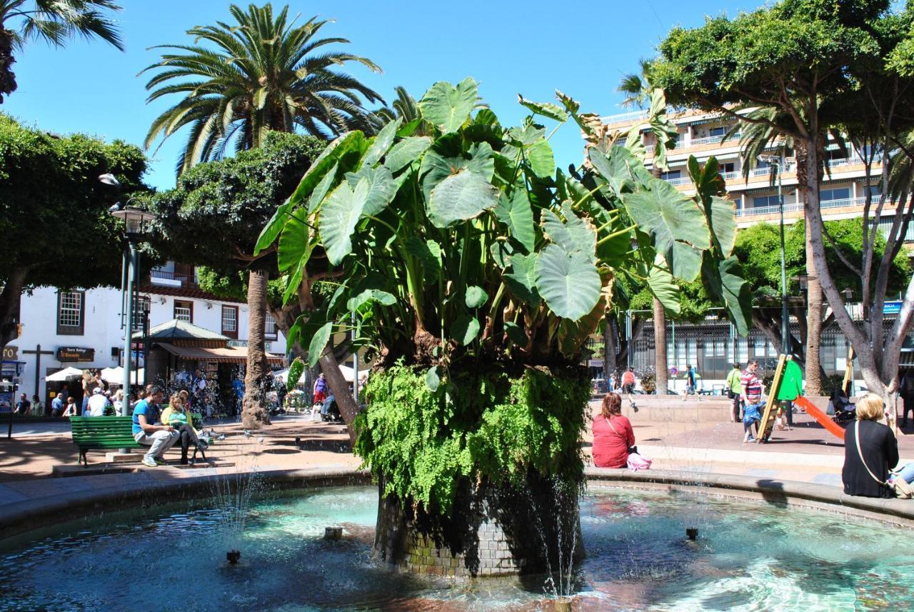 Durazno Tropical Apartment Puerto De La Cruz Екстер'єр фото